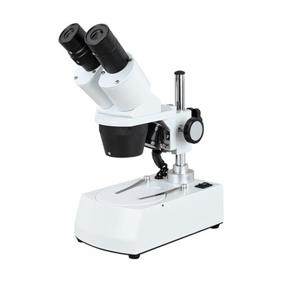 Yuav ua li cas lub stereo microscope ua haujlwm