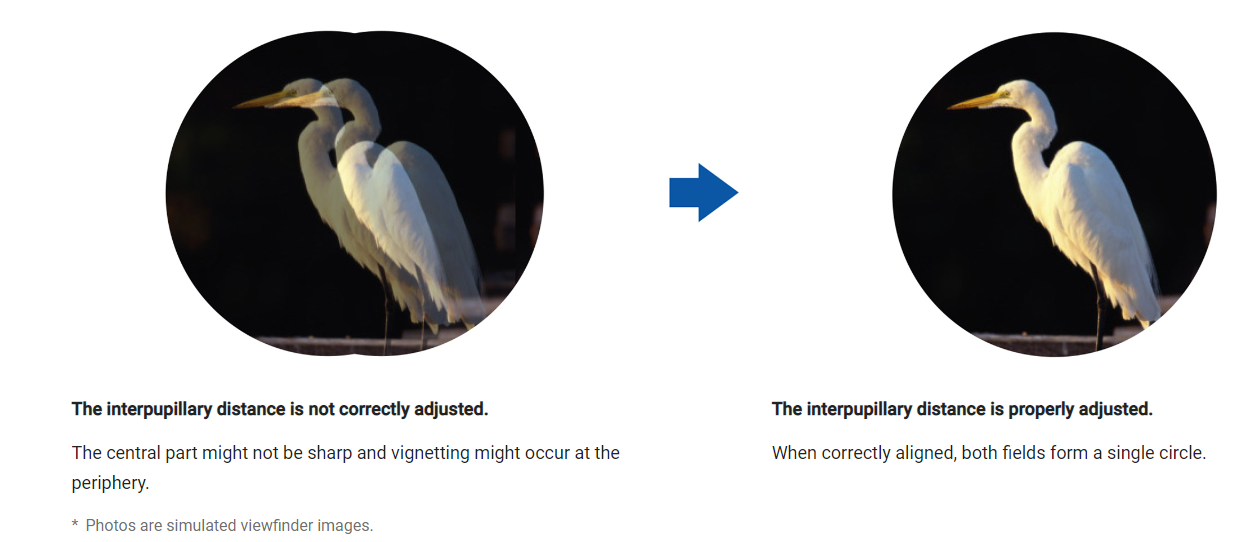 info-1260-542 info-1260-542